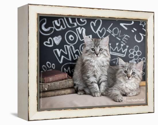 Phyllis & Jo-Rachael Hale-Framed Premier Image Canvas