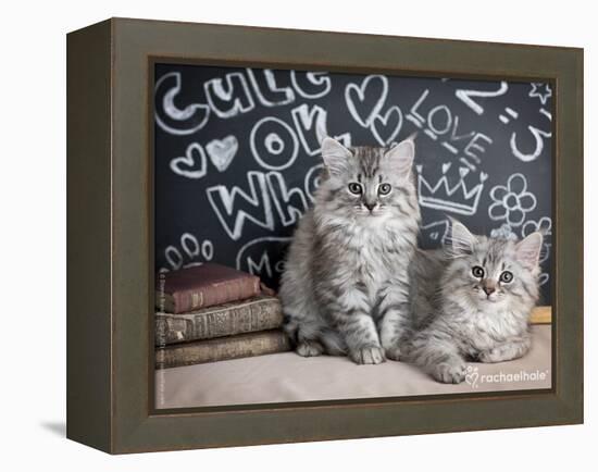 Phyllis & Jo-Rachael Hale-Framed Premier Image Canvas