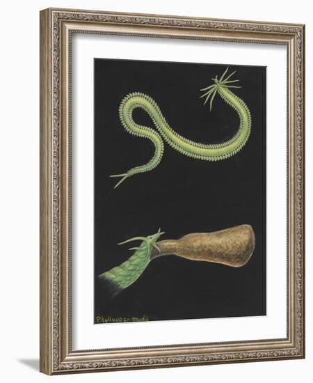 Phyllodoce Viridis-Philip Henry Gosse-Framed Giclee Print