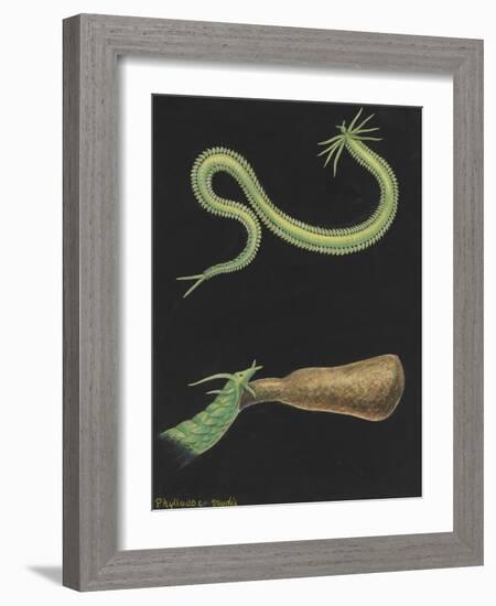 Phyllodoce Viridis-Philip Henry Gosse-Framed Giclee Print