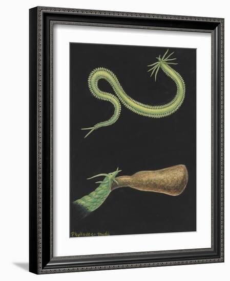 Phyllodoce Viridis-Philip Henry Gosse-Framed Giclee Print