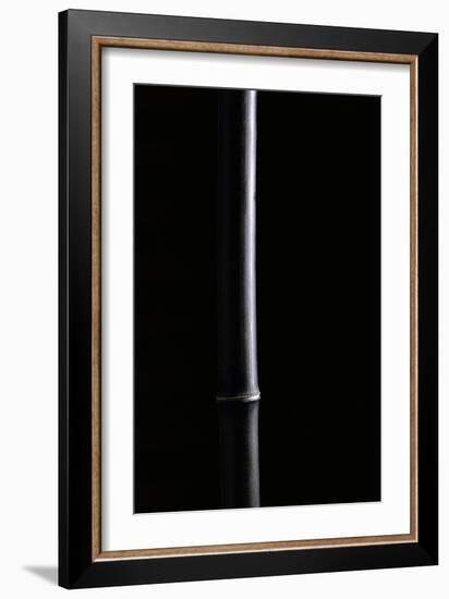 Phyllostachys Nigra (Black Bamboo)-Paul Starosta-Framed Photographic Print