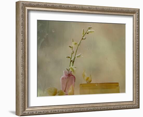 Physalis-Delphine Devos-Framed Photographic Print