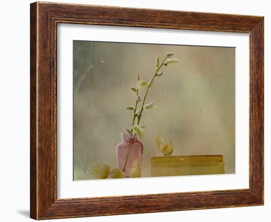 Physalis-Delphine Devos-Framed Photographic Print