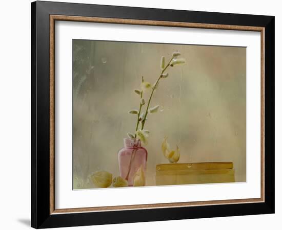 Physalis-Delphine Devos-Framed Photographic Print