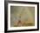 Physalis-Delphine Devos-Framed Photographic Print