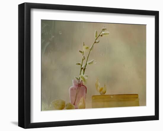 Physalis-Delphine Devos-Framed Photographic Print