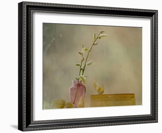 Physalis-Delphine Devos-Framed Photographic Print