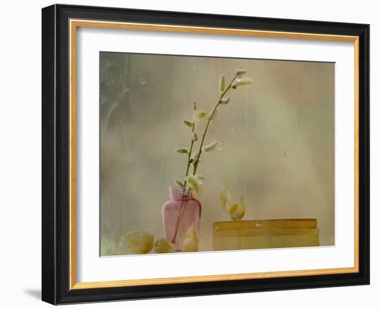 Physalis-Delphine Devos-Framed Photographic Print