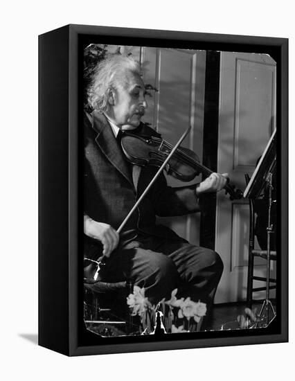 Physicist Dr. Albert Einstein Practicing His Beloved Violin-Hansel Mieth-Framed Premier Image Canvas