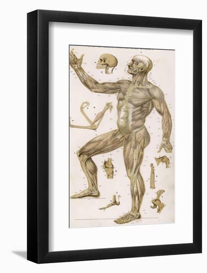 Photographic Print, , large
