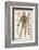 Physiological Diagram of the Organs of Circulation-null-Framed Photographic Print