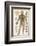 Physiological Diagram of the Organs of Circulation-null-Framed Photographic Print