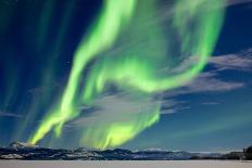 Intense Northern Lights or Aurora Borealis or Polar Lights on Moon Lit Night Sky over Winter Landsc-Pi-Lens-Framed Premier Image Canvas