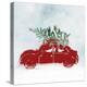 Stretched Canvas Print