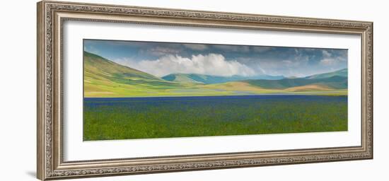 Pian Grande floor of Castelluccio with bloom, Umbria, Central Italy, Italy-null-Framed Photographic Print