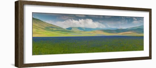 Pian Grande floor of Castelluccio with bloom, Umbria, Central Italy, Italy-null-Framed Photographic Print