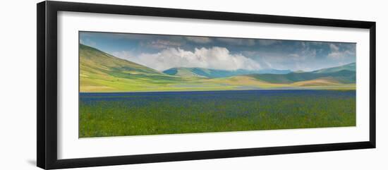 Pian Grande floor of Castelluccio with bloom, Umbria, Central Italy, Italy-null-Framed Photographic Print