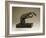 Pianist's Hands-Auguste Rodin-Framed Giclee Print