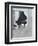 PIANO #4-ALLAYN STEVENS-Framed Art Print