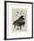 Piano & Butterflies-Marion Mcconaghie-Framed Giclee Print