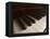 Piano Keys-null-Framed Premier Image Canvas