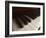 Piano Keys-null-Framed Photographic Print