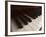 Piano Keys-null-Framed Photographic Print