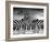 Piano Peace-Thomas Barbey-Framed Giclee Print