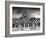 Piano Peace-Thomas Barbey-Framed Giclee Print