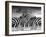 Piano Peace-Thomas Barbey-Framed Giclee Print