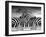 Piano Peace-Thomas Barbey-Framed Giclee Print