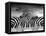 Piano Peace-Thomas Barbey-Framed Premier Image Canvas