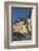 Piazza Anfiteatro, Lucca, Tuscany, Italy, Europe-James Emmerson-Framed Photographic Print