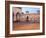 Piazza Dei Cavalli at Dusk, Piacenza, Emilia Romagna, Italy, Europe-Vincenzo Lombardo-Framed Photographic Print