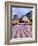 Piazza Ix Aprile, with the Torre Dell Orologio and San Giuseppe Church, Taormina, Sicily, Italy-Martin Child-Framed Photographic Print