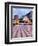 Piazza Ix Aprile, with the Torre Dell Orologio and San Giuseppe Church, Taormina, Sicily, Italy-Martin Child-Framed Photographic Print