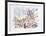 Piazza Navona, Rome-Wayne Ensrud-Framed Limited Edition