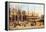 Piazza San Marco-Canaletto-Framed Stretched Canvas