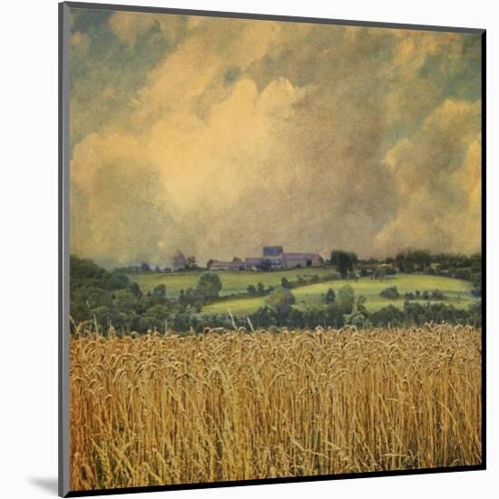 Picardy Wheat-Dawne Polis-Mounted Art Print