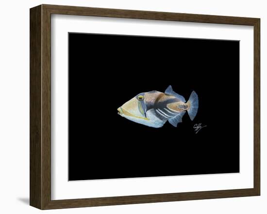 Picasso Trigger-Durwood Coffey-Framed Giclee Print