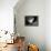 Picasso-Kim Levin-Framed Premier Image Canvas displayed on a wall