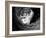 Picasso-Kim Levin-Framed Photographic Print