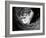 Picasso-Kim Levin-Framed Photographic Print
