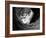 Picasso-Kim Levin-Framed Photographic Print