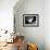 Picasso-Kim Levin-Framed Photographic Print displayed on a wall