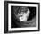 Picasso-Kim Levin-Framed Photographic Print