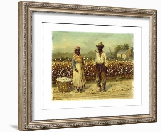 Picked Cotton-William Aiken		 Walker-Framed Giclee Print