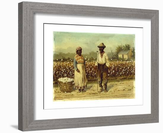 Picked Cotton-William Aiken		 Walker-Framed Giclee Print