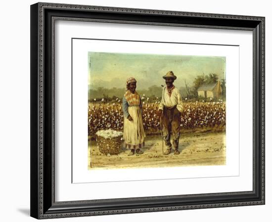 Picked Cotton-William Aiken		 Walker-Framed Giclee Print